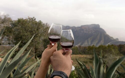 brindis de dos personas en la ruta de los vinos
